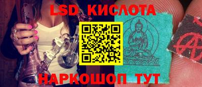 СК Севастополь