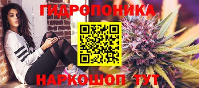 марки lsd Северобайкальск