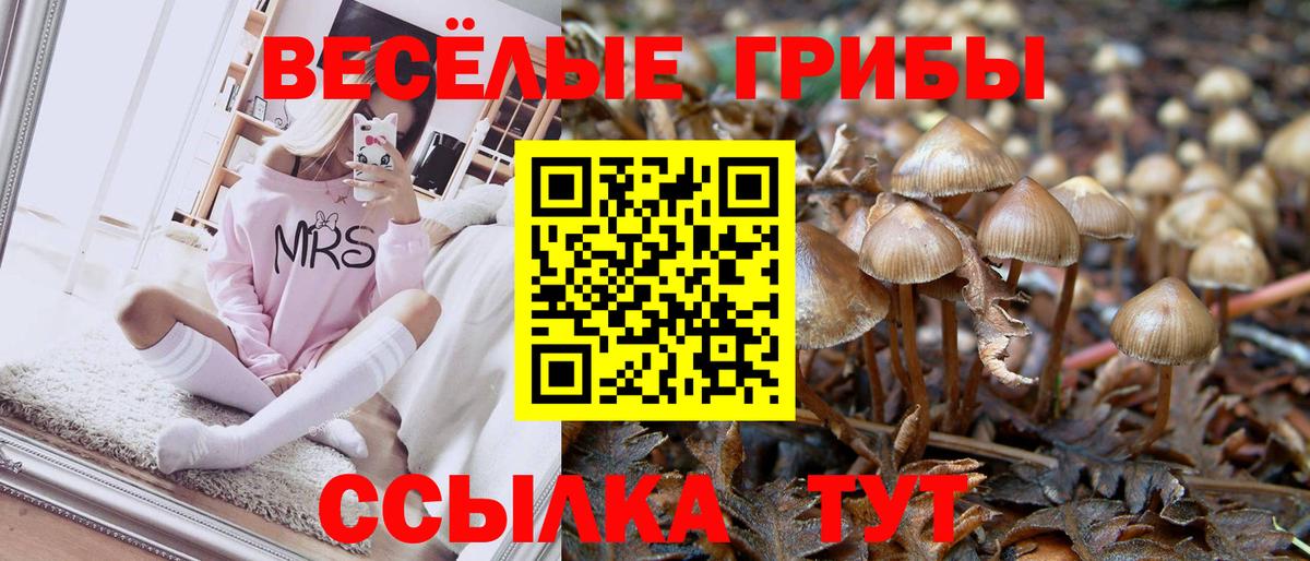 Галлюциногенные грибы Cubensis Саратов