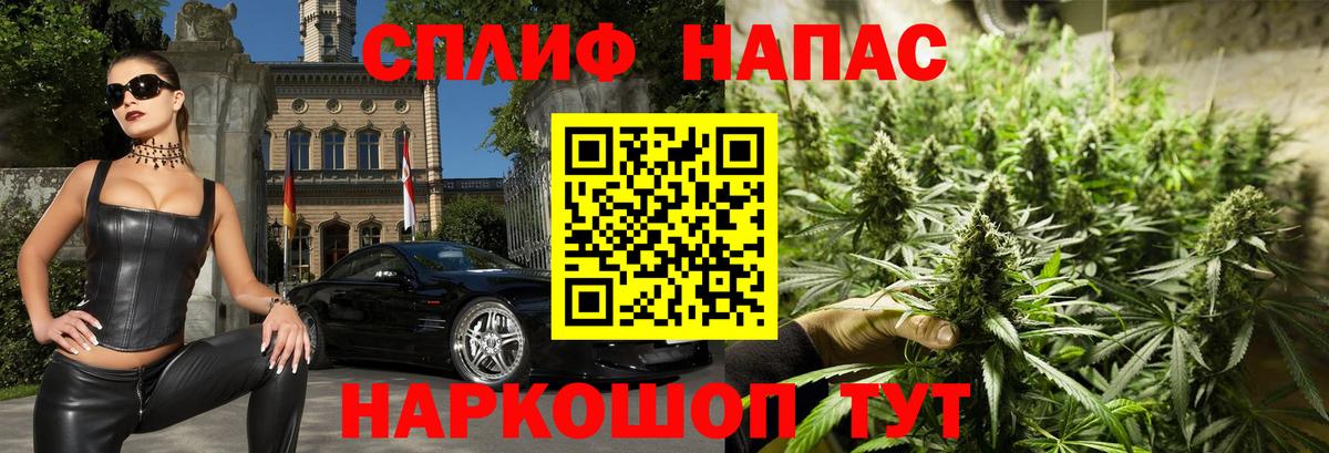 Бошки Шишки ГИДРОПОН Саратов